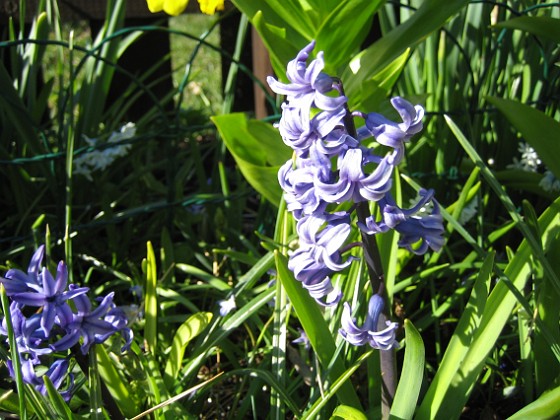   
2009-04-25 010  
Granudden  
Färjestaden  
Öland