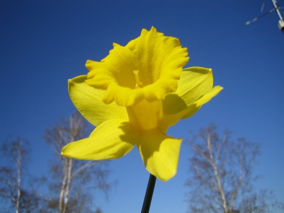   
2009-04-25 017  
Granudden  
Färjestaden  
Öland