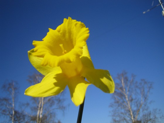   
2009-04-25 018  
Granudden  
Färjestaden  
Öland