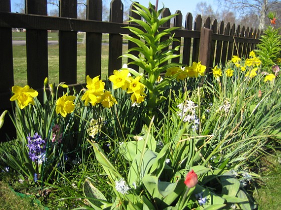   
2009-04-25 031  
Granudden  
Färjestaden  
Öland