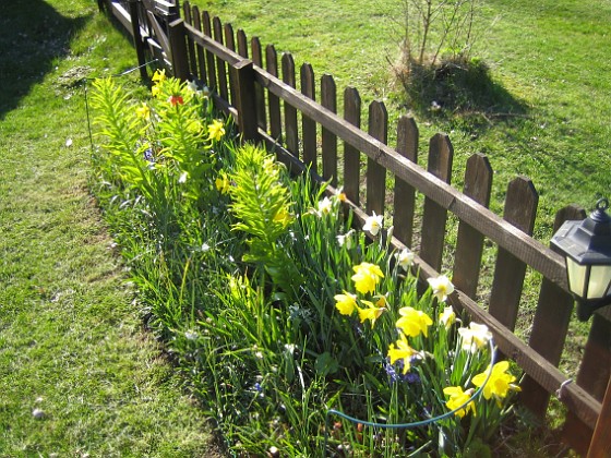   
2009-04-25 038  
Granudden  
Färjestaden  
Öland