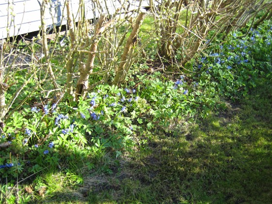   
2009-04-25 040  
Granudden  
Färjestaden  
Öland