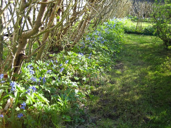   
2009-04-25 041  
Granudden  
Färjestaden  
Öland