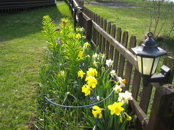   
2009-04-26 005  
Granudden  
Färjestaden  
Öland