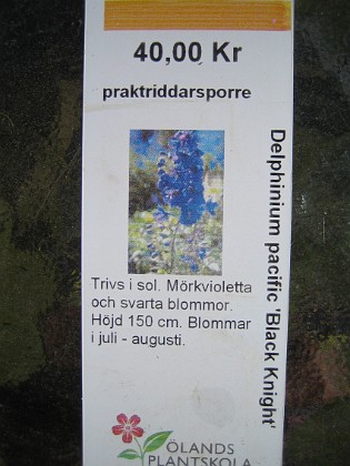 Praktriddarsporre