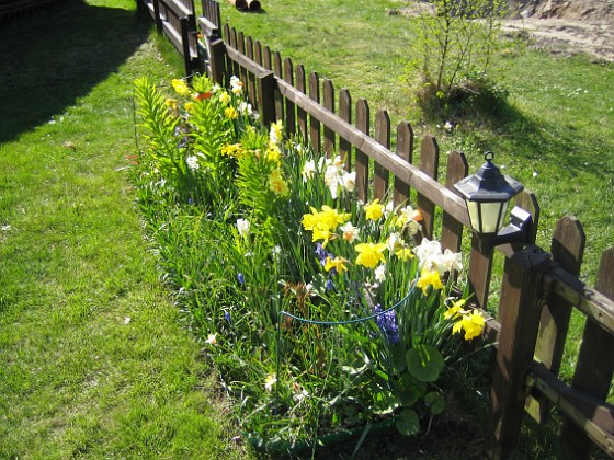   
2009-05-02 113  
Granudden  
Färjestaden  
Öland