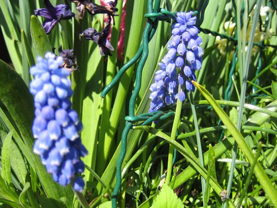   
2009-05-02 128  
Granudden  
Färjestaden  
Öland