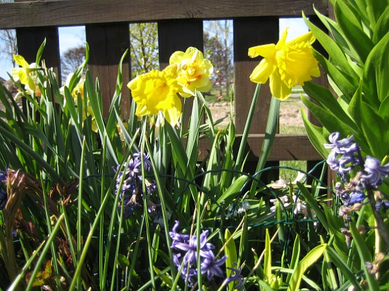   
2009-05-02 138  
Granudden  
Färjestaden  
Öland