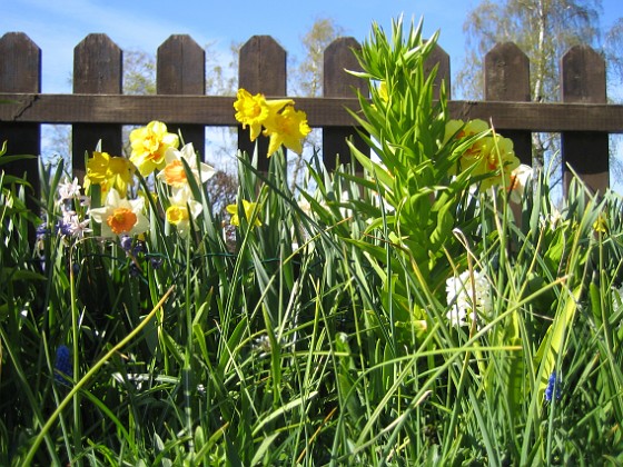   
2009-05-02 139  
Granudden  
Färjestaden  
Öland