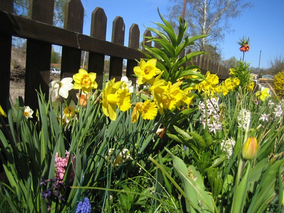   
2009-05-02 144  
Granudden  
Färjestaden  
Öland