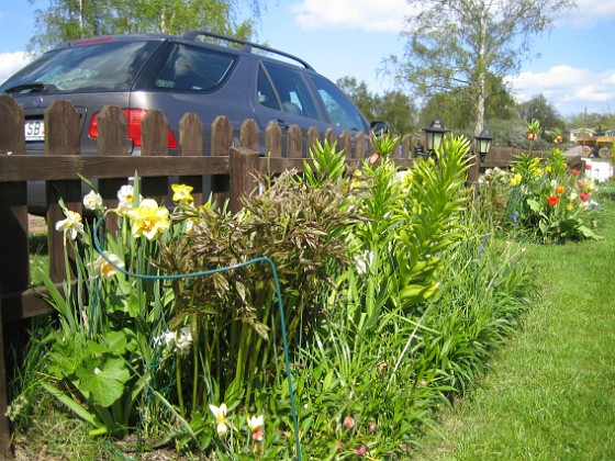 Granudden  
Pionerna har vuxit rejält.  
2009-05-09 005  
Granudden  
Färjestaden  
Öland