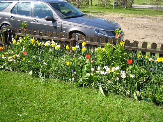 Staket  
  
2009-05-09 067  
Granudden  
Färjestaden  
Öland