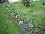 Bakgården  
  
2009-05-09 085