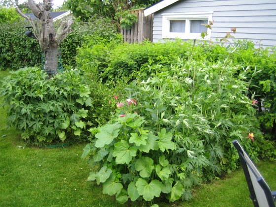 Uteplatsen  
  
2009-06-14 074  
Granudden  
Färjestaden  
Öland