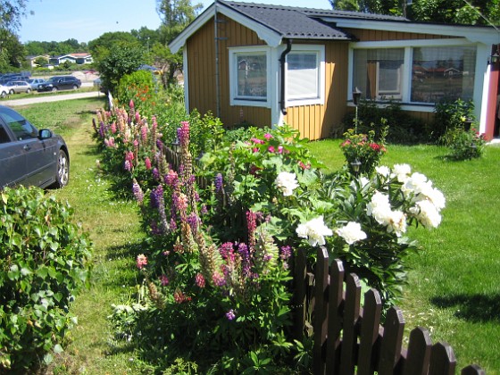 Granudden  
  
2009-06-28 003  
Granudden  
Färjestaden  
Öland