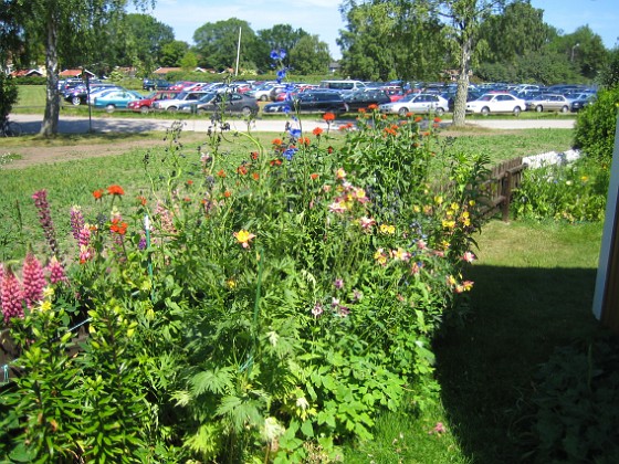   
2009-06-28 020  
Granudden  
Färjestaden  
Öland