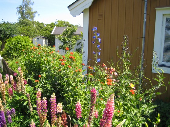   
2009-06-28 021  
Granudden  
Färjestaden  
Öland