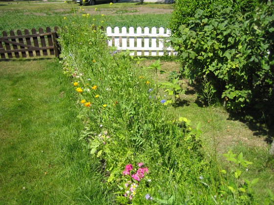 Bakgård  
  
2009-06-28 037  
Granudden  
Färjestaden  
Öland