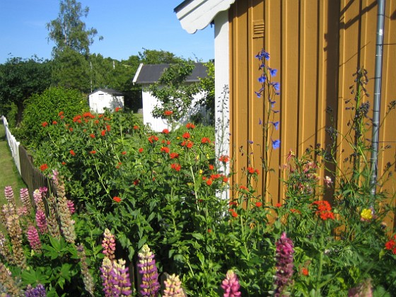   
2009-06-28 121  
Granudden  
Färjestaden  
Öland