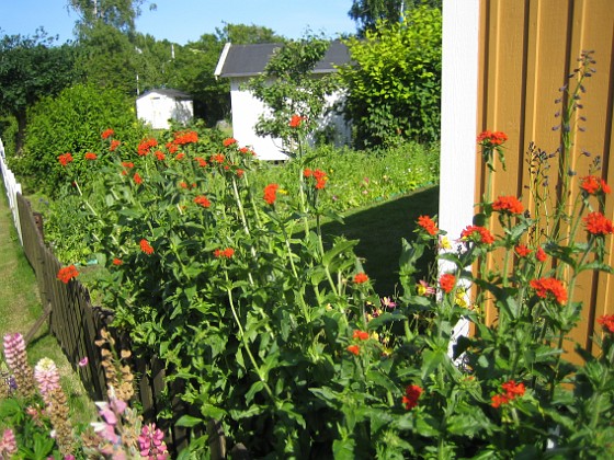   
2009-06-28 123  
Granudden  
Färjestaden  
Öland