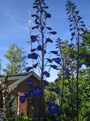   
2009-06-28 136  
Granudden  
Färjestaden  
Öland