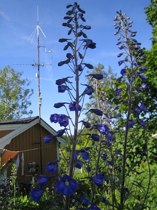   
2009-06-28 137  
Granudden  
Färjestaden  
Öland