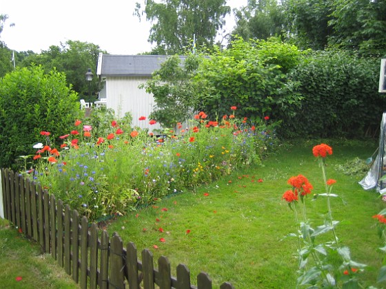 Bakgården  
  
2009-07-08 IMG_0172  
Granudden  
Färjestaden  
Öland