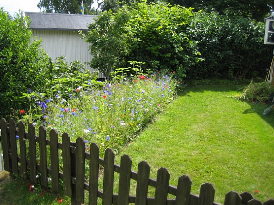 Bakgården  
  
2009-07-15 IMG_0010  
Granudden  
Färjestaden  
Öland