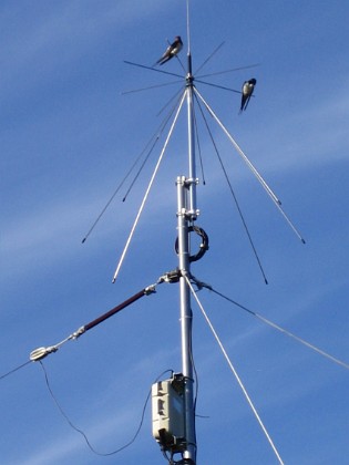Norra antennmasten  
Här finns avstämningsenheten till min longwire-antenn, samt min discone för VHF/UHF. Observera två Svalor som vilar på antennen.  
2009-07-17 IMG_0180  
Granudden  
Färjestaden  
Öland