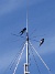 Här finns avstämningsenheten till min longwire-antenn, samt min discone för VHF/UHF. Observera två Svalor som vilar på antennen. (2009-07-17 IMG_0178)