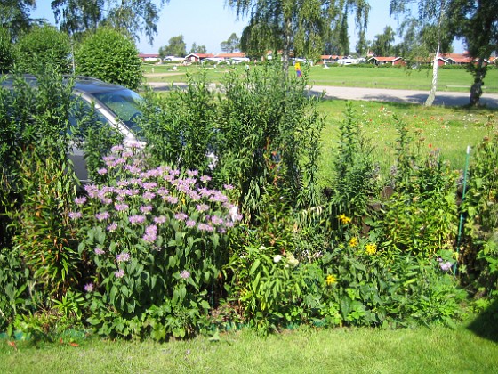 Temynta  
  
2009-08-07 IMG_0038  
Granudden  
Färjestaden  
Öland