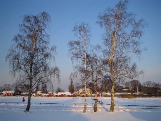 Granudden  
  
2009-12-20 007  
Granudden  
Färjestaden  
Öland