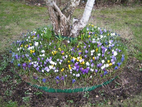   
2010-04-17 005  
Granudden  
Färjestaden  
Öland