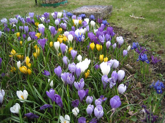   
2010-04-17 006  
Granudden  
Färjestaden  
Öland