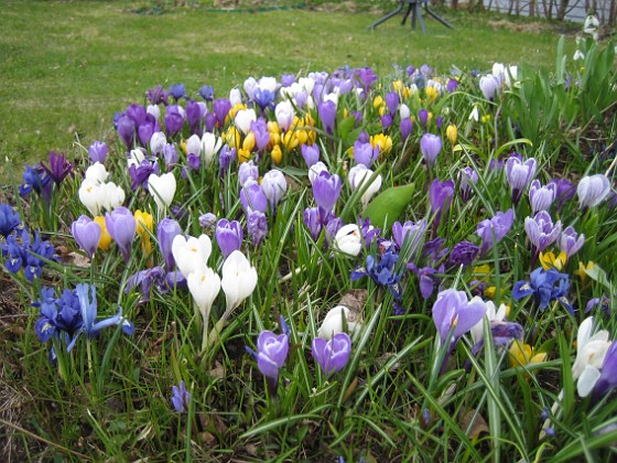   
2010-04-17 007  
Granudden  
Färjestaden  
Öland