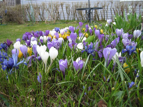   
2010-04-17 008  
Granudden  
Färjestaden  
Öland