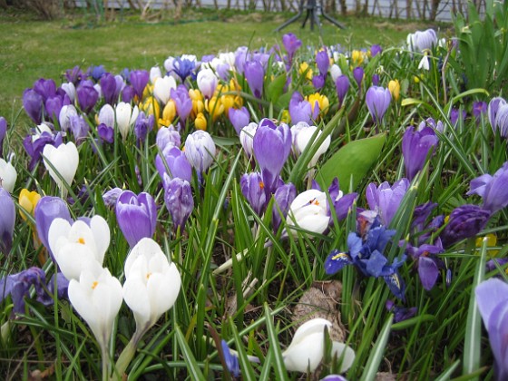   
2010-04-17 009  
Granudden  
Färjestaden  
Öland