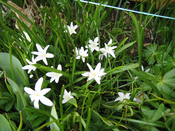   
2010-04-17 034  
Granudden  
Färjestaden  
Öland