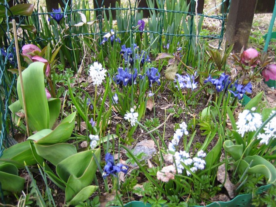   
2010-04-17 041  
Granudden  
Färjestaden  
Öland