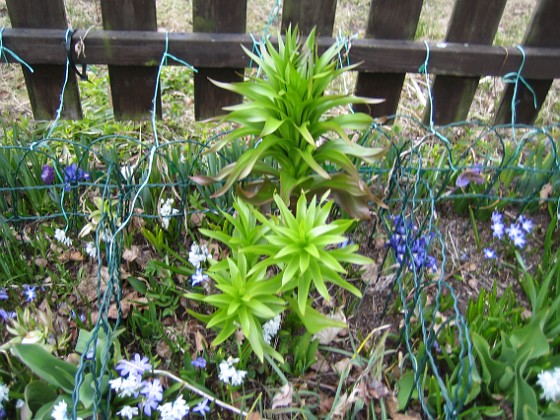   
2010-04-17 057  
Granudden  
Färjestaden  
Öland