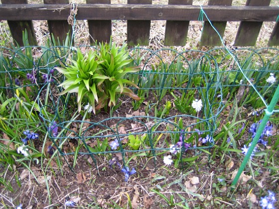   
2010-04-17 061  
Granudden  
Färjestaden  
Öland