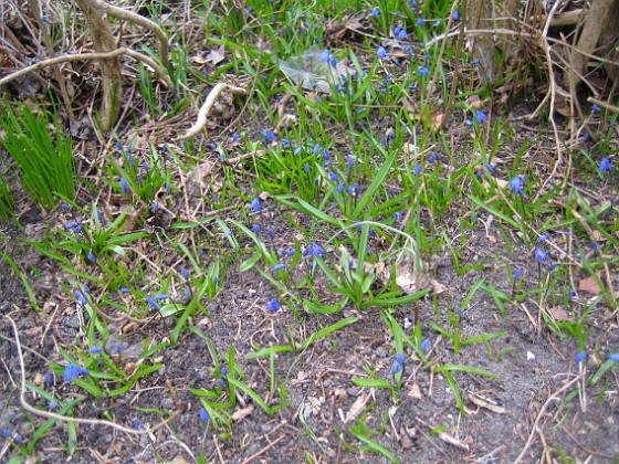   
2010-04-17 067  
Granudden  
Färjestaden  
Öland