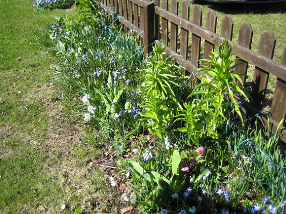   
2010-04-24 018  
Granudden  
Färjestaden  
Öland