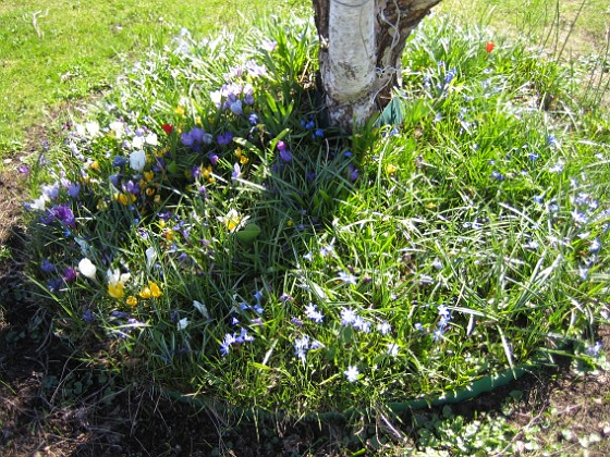   
2010-04-24 028  
Granudden  
Färjestaden  
Öland