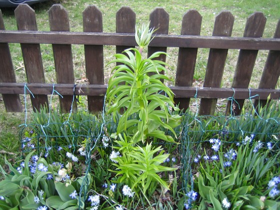   
2010-04-24 044  
Granudden  
Färjestaden  
Öland