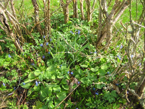   
2010-04-30 053  
Granudden  
Färjestaden  
Öland