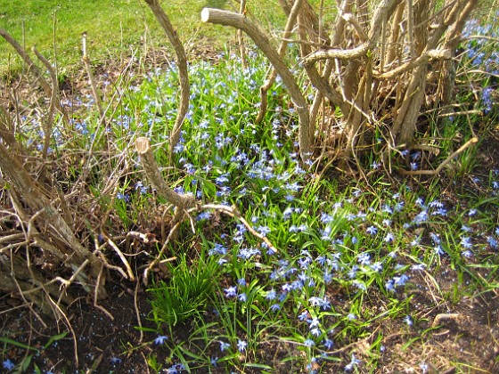   
2010-04-30 072  
Granudden  
Färjestaden  
Öland