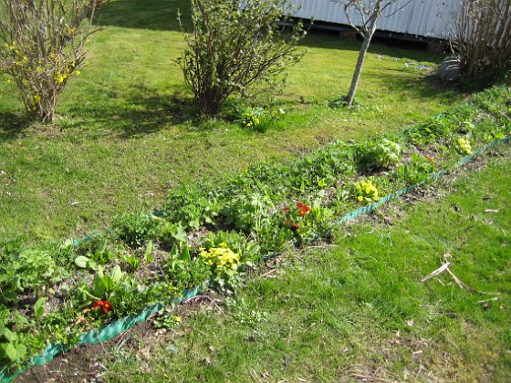 Bakgården  
  
2010-05-02 107  
Granudden  
Färjestaden  
Öland