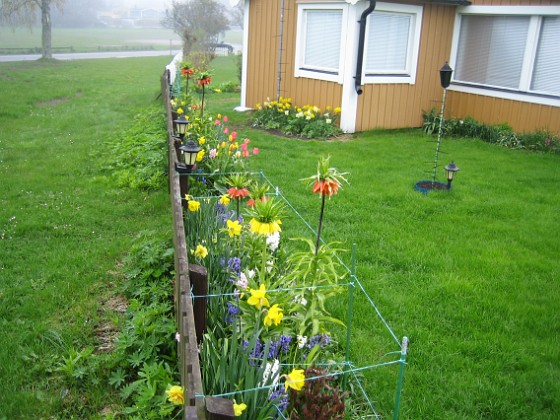 Granudden  
  
2010-05-14 003  
Granudden  
Färjestaden  
Öland