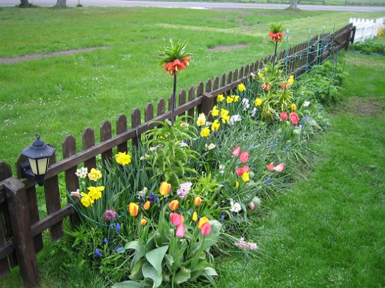   
2010-05-15 014  
Granudden  
Färjestaden  
Öland